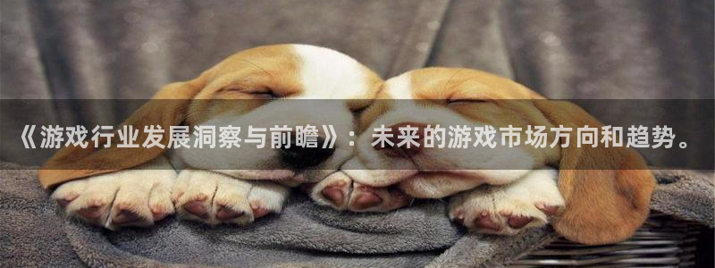 天美娱乐官方注册登录：《游戏行业发展洞察与前瞻》：未来的游戏
