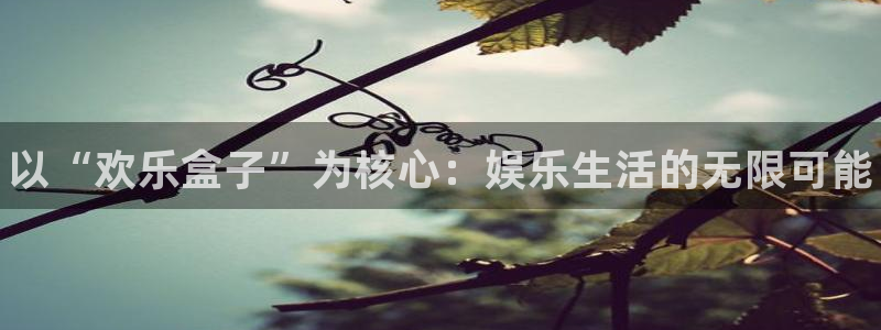 沐春天美娱乐：以“欢乐盒子”为核心：娱乐生活的无限可能