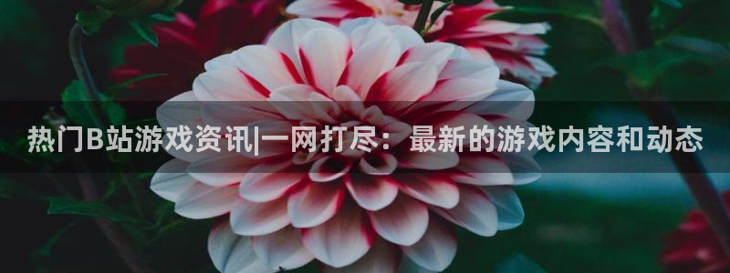 天美娱乐注册开户：热门B站游戏资讯|一网打尽：最新的游戏内容