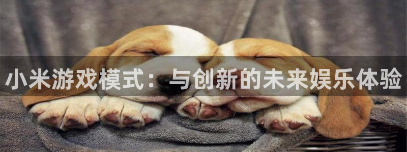 手机天美娱乐下载安装：小米游戏模式：与创新的未来娱乐体验
