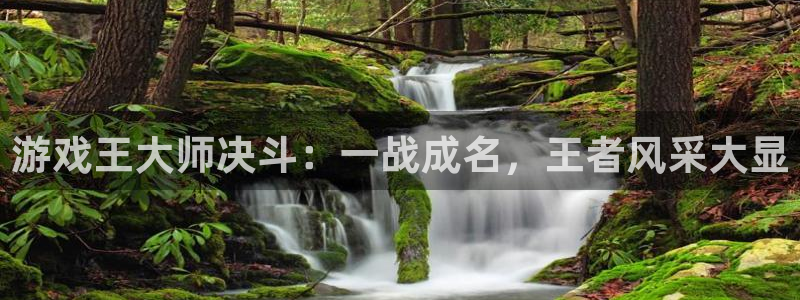 天美娱乐的意思：游戏王大师决斗：一战成名，王者风采大显