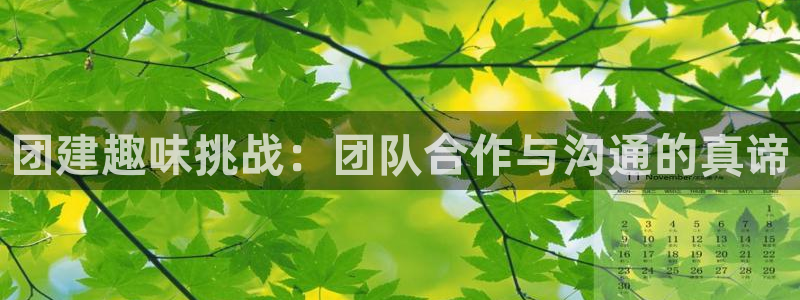 天美娱乐app下载|下载地址：团建趣味挑战：团队合作与沟通的