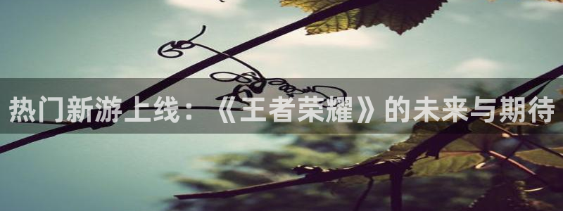 天美娱乐平台：热门新游上线：《王者荣耀》的未来与期待